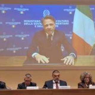Agricoltura, Lollobrigida (FdI): "Innovazione e sostenibilità pilastri sicurezza alimentare" Agricoltura, Lollobrigida (FdI): "Innovazione e sostenibilità pilastri sicurezza alimentare"