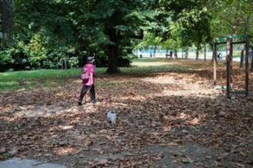 Meteo ottobre, l’Ottobrata conquista l’Italia: sole e temperature fino a 29°C Meteo ottobre, l’Ottobrata conquista l’Italia: sole e temperature fino a 29°C
