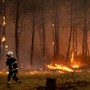 Incendi "mostruosi" in Francia e Spagna, oltre 325mila evacuati. In arrivo ondata di caldo ancora più intensa Incendi "mostruosi" in Francia e Spagna, oltre 325mila evacuati. In arrivo ondata di caldo ancora più intensa