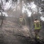 Israele ancora in fiamme, Netanyahu: &quot;18 arresti per sospetto incendio doloso&quot;