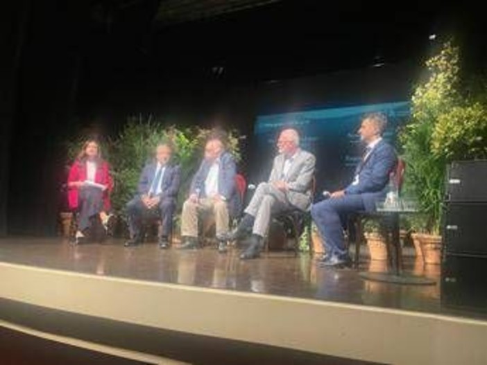 Giraudo (Inseec): &quot;Nella storia il legno è stato strumento di geopolitica internazionale