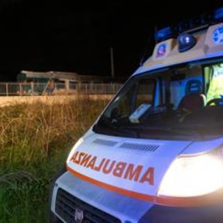 Crotone, scontro tra due auto e cavalli vaganti: morta una donna Crotone, scontro tra due auto e cavalli vaganti: morta una donna