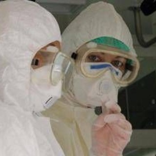 Virus Shamonda, Lopalco: "È favorito da crisi climatica, svegliamoci" Virus Shamonda, Lopalco: "È favorito da crisi climatica, svegliamoci"