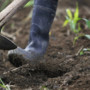 Cina, gli scarti agricoli diventano biochar ad alto valore