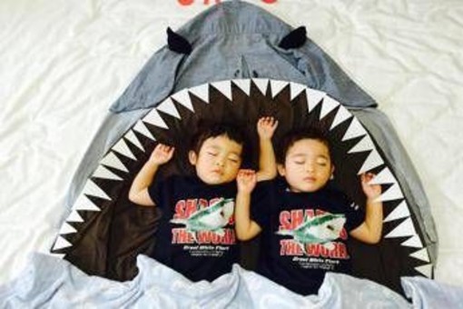 Sonno, pediatri: "Nei bimbi non è solo riposo ma pilastro benessere psicofisico" Sonno, pediatri: "Nei bimbi non è solo riposo ma pilastro benessere psicofisico"