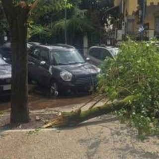 Maltempo a Roma, ramo cade fuori liceo a Coppedè: feriti 3 studenti Maltempo a Roma, ramo cade fuori liceo a Coppedè: feriti 3 studenti