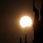 Eclissi, anche gli animali la vedranno: i consigli per non farli agitare Eclissi, anche gli animali la vedranno: i consigli per non farli agitare