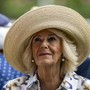 I Cazalet e il Conte di Montecristo, Camilla rivela i suoi libri preferiti I Cazalet e il Conte di Montecristo, Camilla rivela i suoi libri preferiti