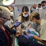 Virus naturali contro superbatteri resistenti, terapia fagica al Sacco di Milano