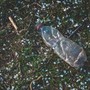 Una bottiglia incastrata nella ruota, il nuovo metodo dei ladri di auto Una bottiglia incastrata nella ruota, il nuovo metodo dei ladri di auto