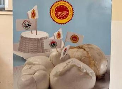 La mozzarella di bufala campana Dop raggiunge un pubblico digitale di 37 milioni di utenti La mozzarella di bufala campana Dop raggiunge un pubblico digitale di 37 milioni di utenti