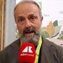 Tabacco, Masiello (Coldiretti): "Regole non devono ammazzare la filiera" Tabacco, Masiello (Coldiretti): "Regole non devono ammazzare la filiera"