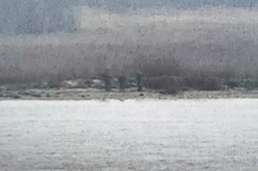 Soldati russi sconfinano in Estonia: tensione altissima sul fianco Est Soldati russi sconfinano in Estonia: tensione altissima sul fianco Est