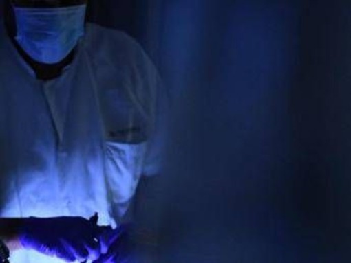 Aviaria, primo decesso in Messico: morta bimba di 3 anni