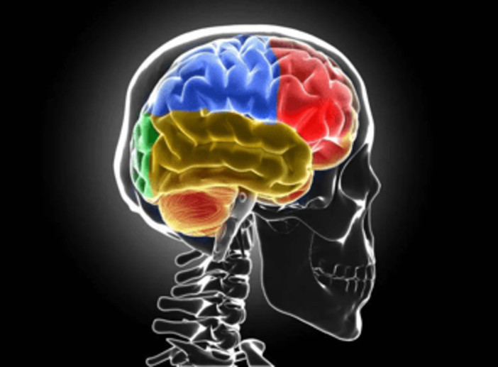 Sclerosi multipla, Bandiera (Aism): "Caregiver fondamentali ma ancora invisibili" Sclerosi multipla, Bandiera (Aism): "Caregiver fondamentali ma ancora invisibili"