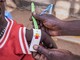 Save the Children: 1 bambino su 4 sotto i 5 anni, nel mondo, soffre di grave povertà alimentare Save the Children: 1 bambino su 4 sotto i 5 anni, nel mondo, soffre di grave povertà alimentare