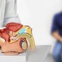 Tumori, 485mila italiani con cancro prostata, Aiom: &quot;Casi in crescita, potenziare prevenzione&quot;