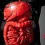 Malattie infiammatorie intestinali, rimborsabile guselkumab per colite ulcerosa e Crohn