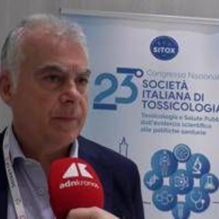 Morso di vipera, il tossicologo 'bambini più vulnerabili a effetti veleno' Morso di vipera, il tossicologo 'bambini più vulnerabili a effetti veleno'