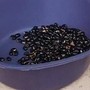 Mucuna Pruriens, tutti i benefici del legume tropicale utilizzato anche per il Parkinson