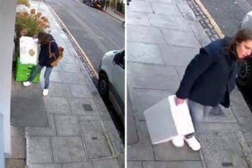 Londra, mistero della 'ladra di langoustine': rubati crostacei, manzo e orchidee rare