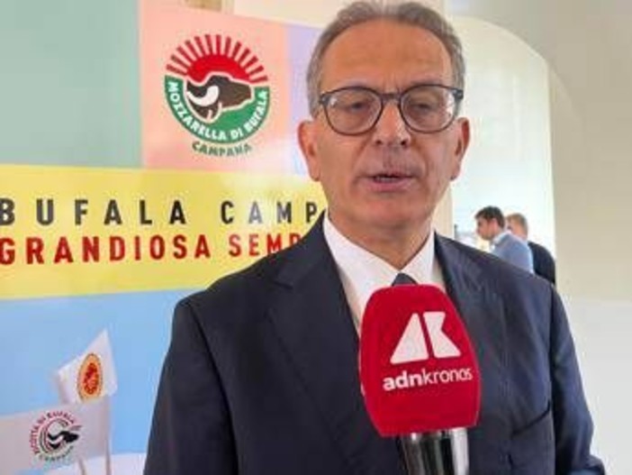 Made in Italy, Arcadia: "Il gusto della mozzarella di bufala Campana Dop conquista web, 37 milioni utenti in 2 anni" Made in Italy, Arcadia: "Il gusto della mozzarella di bufala Campana Dop conquista web, 37 milioni utenti in 2 anni"