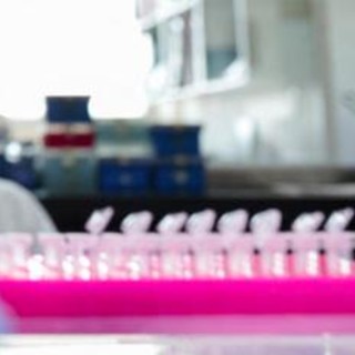 Tumori, nel Dna spazzatura molecole alleate: lo studio Italia-Usa