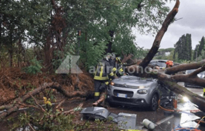 Maltempo a Roma, albero caduto sull'auto: chi paga i danni? La risposta degli esperti Maltempo a Roma, albero caduto sull'auto: chi paga i danni? La risposta degli esperti