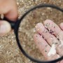 Microplastiche e salute della donna, Fondazione Sigo avvia percorso informativo Microplastiche e salute della donna, Fondazione Sigo avvia percorso informativo