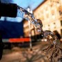 Caldo, urologi: &quot;Idratarsi anche per prevenire cistiti e calcoli&quot;