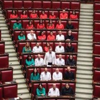M5S, deputati in aula con colori Palestina: &quot;Governo volta sguardo dall'altra parte&quot;
