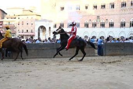 Palio Siena, la Contrada della Giraffa vince la terza prova Palio Siena, la Contrada della Giraffa vince la terza prova