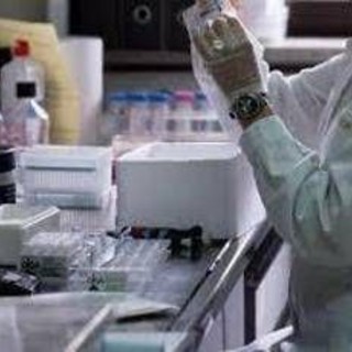 Tumori, biopsia liquida e su tessuti: cura mirata su doppio test migliora sopravvivenza