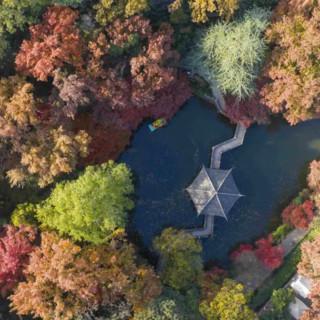 Cina, progressi nella conservazione delle risorse genetiche forestali