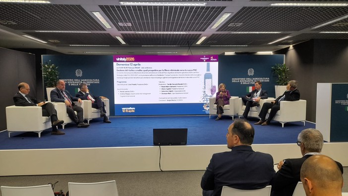 Ismea a Vinitaly: strategie, strumenti e prospettive per il vino italiano