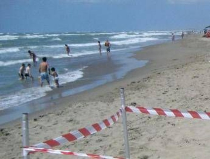 Moria di pesci a Torvajanica e Ardea, controlli ﻿sul litorale
