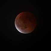 Luna di sangue, oggi l'eclissi totale: cos'è e quando vederla Luna di sangue, oggi l'eclissi totale: cos'è e quando vederla