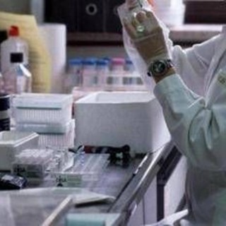 Ricerca, Gasbarrini (Cattolica): &quot;Urge un sistema più agile e formazione dedicata&quot;
