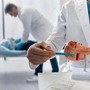 Tumore pancreas, team Aoui Verona e San Raffaele Milano vincono bando Fondazione Veronesi-Ficog Tumore pancreas, team Aoui Verona e San Raffaele Milano vincono bando Fondazione Veronesi-Ficog