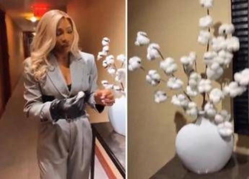 Serena Williams e la pianta di cotone in hotel: &quot;Non va bene&quot;