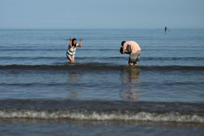 Mare sempre più caldo, nel 2025 secondo valore più alto mai registrato Mare sempre più caldo, nel 2025 secondo valore più alto mai registrato