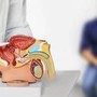 Cancro prostata avanzato, studio Asco conferma vantaggio cognitivo di darolutamide