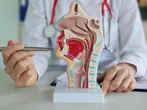 Tumore corde vocali, trovata la 'scintilla' che lo rende aggressivo e invasivo Tumore corde vocali, trovata la 'scintilla' che lo rende aggressivo e invasivo