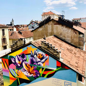 Una domenica al Museo di Arte Urbana: le visite nel cuore del Borgo Campidoglio