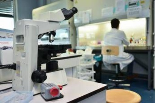 Ricerca, in Italia nel 2024 autorizzati 669 studi clinici: "Serve nuovo modello per ridefinire valore dati sanitari"