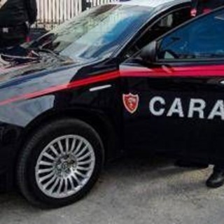Bisceglie, cinque indagati per la morte della 12enne schiacciata da un albero Bisceglie, cinque indagati per la morte della 12enne schiacciata da un albero