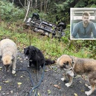Intrappolato su Vancouver Island, salvo grazie ai satelliti di Musk