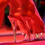 Pacchetti benessere a base di ecstasy, cocaina e sesso: arrestata a Roma