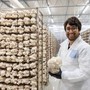 Barilla, selezionate le tre startup vincitrici di Good Food Makers Barilla, selezionate le tre startup vincitrici di Good Food Makers