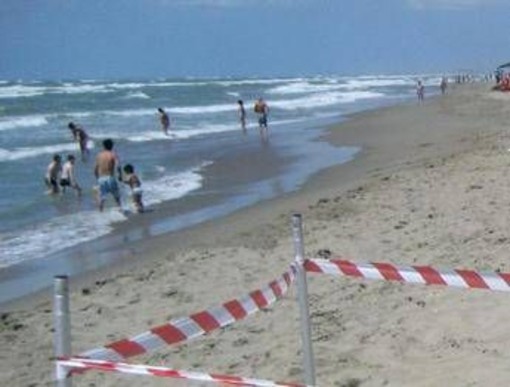 Moria di pesci a Torvajanica e Ardea, controlli sul litorale Moria di pesci a Torvajanica e Ardea, controlli sul litorale